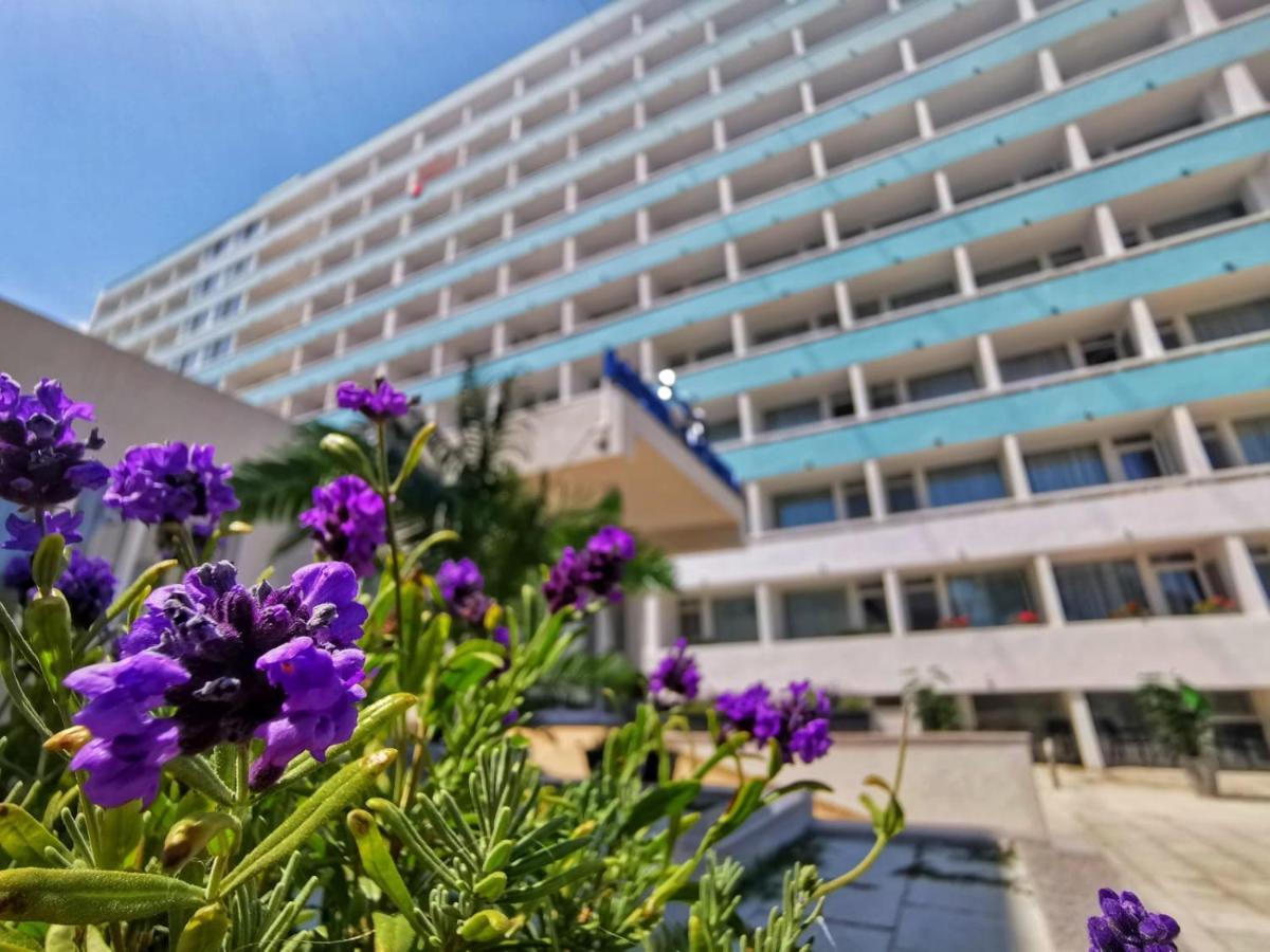 Hotel Victoria Mamaja Zewnętrze zdjęcie
